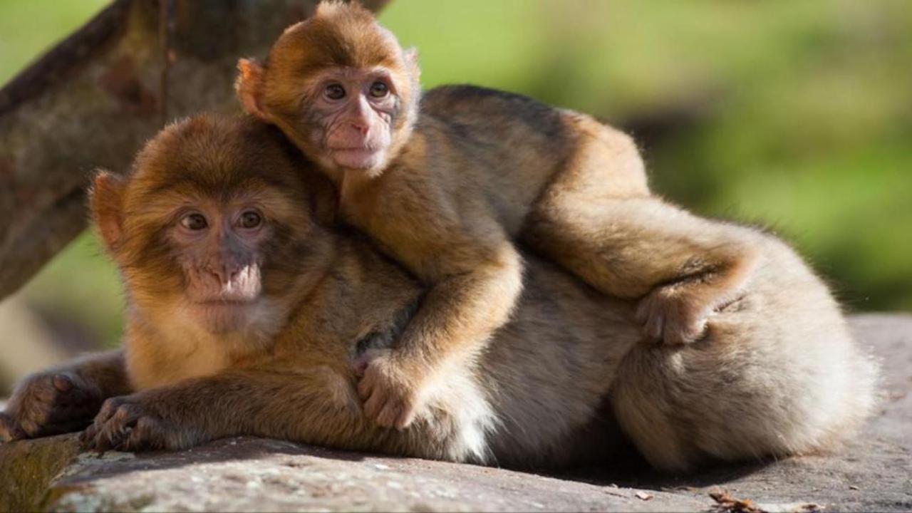 La Brie A 15Mn De Disneyland Et Village Nature Neufmoutiers-en-Brie Екстер'єр фото